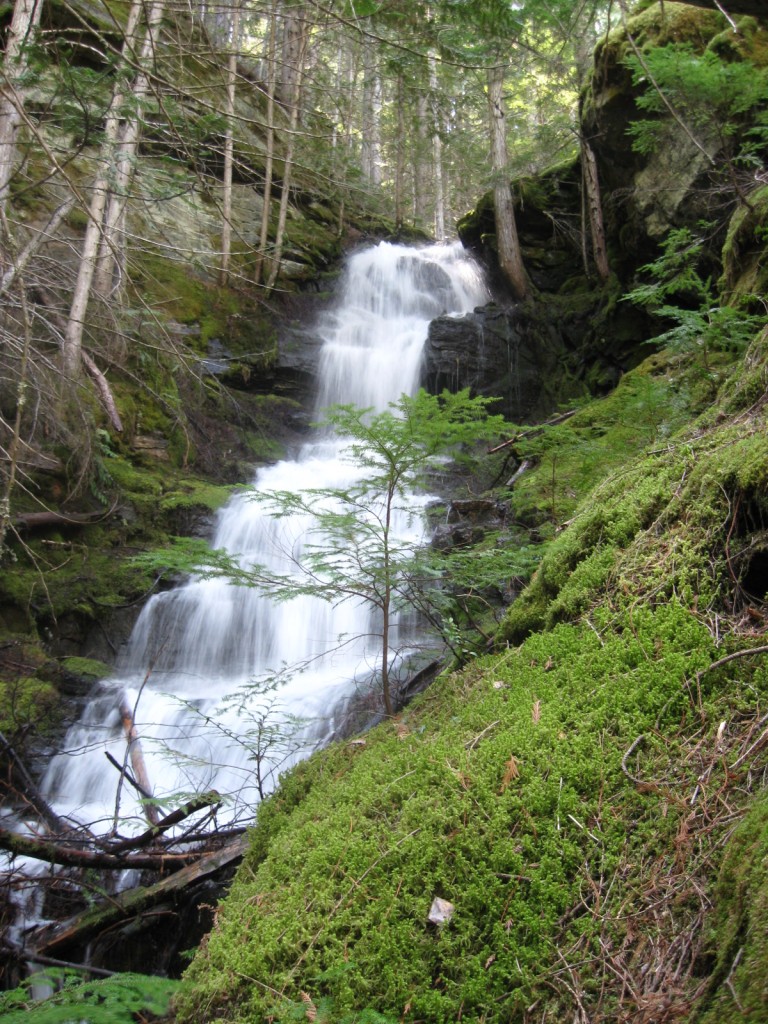 Voykin8-768x1024.jpg